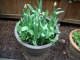 DSCN0403.JPG