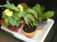 DSCN0405.JPG