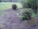 DSCN0409.JPG