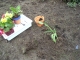 DSCN0410.JPG