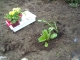 DSCN0411.JPG