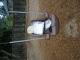 DSCN0420.JPG