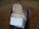 DSCN0421.JPG