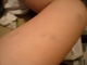 DSCN0545.JPG