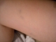 DSCN0550.JPG