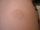 DSCN0559.JPG