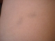 DSCN0560.JPG