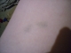 DSCN0575.JPG