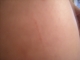 DSCN0578.JPG