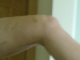 DSCN0585.JPG