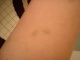 DSCN0591.JPG