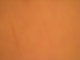 DSCN0593.JPG