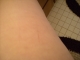 DSCN0605.JPG