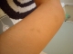DSCN0606.JPG