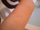 DSCN0610.JPG