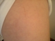 DSCN0613.JPG