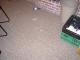 floor.jpg