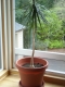 Picture 005.jpg