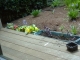 Picture 008.jpg