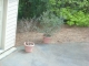 Picture 009.jpg