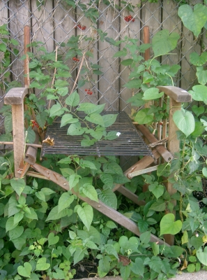 The other throne The other throne