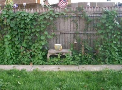 Living room Living room