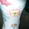 Sun T