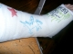 Pooping Unicorn