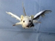 mouseangel1.jpg