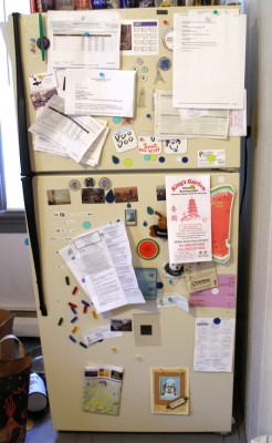 messy fridge3