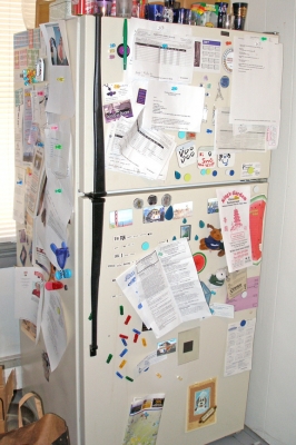 messy fridge2