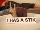 I has a stik.jpg