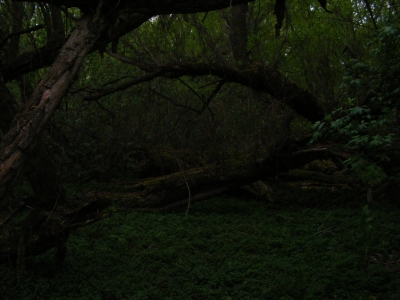 Darker