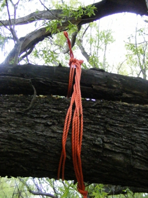 Knots
