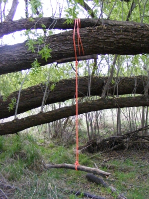 Finished swing