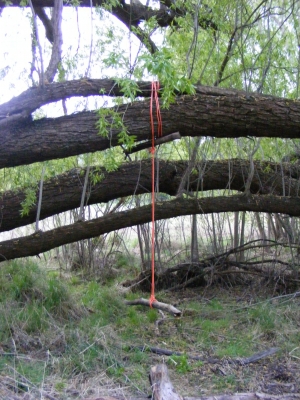 Finished Swing