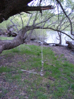 A much less well constructed swing.