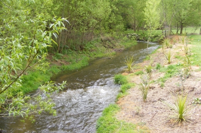 Mill creek - My river.
