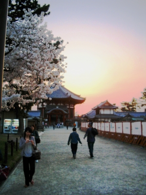 Kofukuji - My temple.