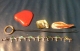 Items.