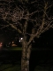 Distance