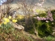 Springtime