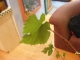 DSCF1645.JPG
