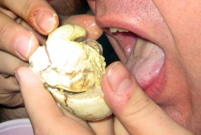 Balut-in-Hand.jpg