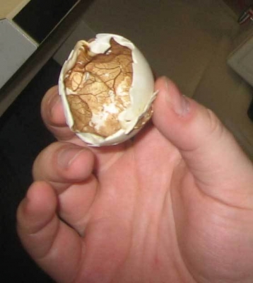 Inside-Balut-Eggshell.jpg