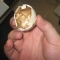 Inside-Balut-Eggshell.jpg