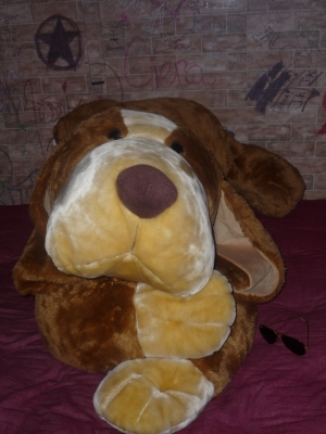 Mr. Woofums (cover name)