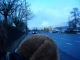 Bus!