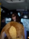 The Bus