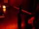 DSC00028.jpg
